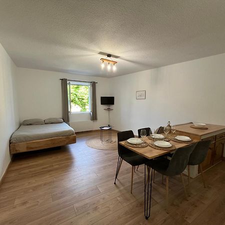Appartamento "Le Caneton" Studio Hyper Centre Tout Equipee Sarlat Esterno foto